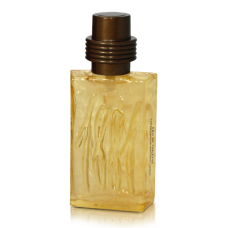 Духи TM "Premier Parfum" 207 версия 1881 Amber